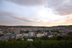 Blick auf Stuttgart, Weinberg im Vordergrund