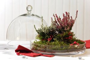 Autumnal decoration with moss and eika and glass bell on side