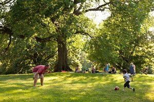 Children playing in park, New York, USA