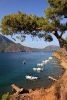 View of pine trees and boats on coats of Adrasan Bay, Kemer, Turkey