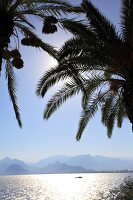 Antalya: Blick auf Golf von Antalya, Berglandschaft, Palmen.