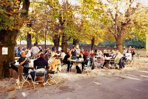 People at beer garden in the courtyard of Augustiner Brau, Salzburg, Austria