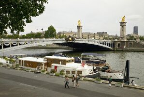 View of Pont Alexandre III, Paris, France