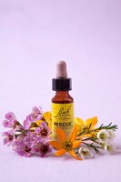 Close-up of bottle of Bach Rescue Remedy and bach flowers on purple background
