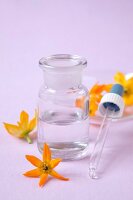 Close-up of glass bottle with pipette and orange Bach flowers on pink background