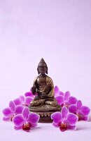 Close-up of Buddha statue surrounded by orchid flowers