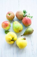 Pip fruits: apples, pears and quinces