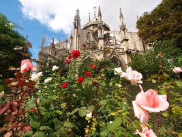 View of Notre-Dame Cathedral and garden in Paris, France