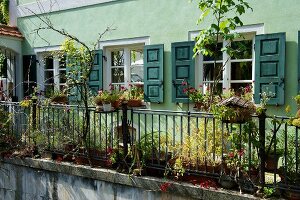 Exterior of cafe Rufus with plants and green window, Augsburg, Bavaria, Germany