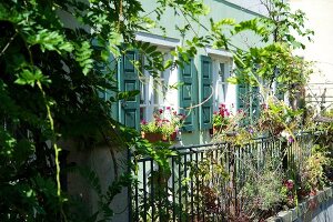 Exterior of cafe Rufus with plants and green window, Augsburg, Bavaria, Germany