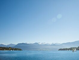 Schweiz, Luzern, Vierwaldstättersee, Alpen, Segelboote, Panorama