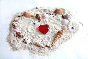 Close-up of different types of shells arranged in heart shape in sand