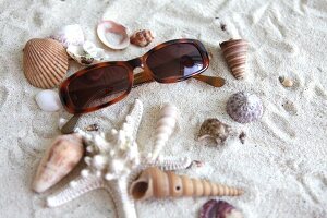 Close-up of sunglasses surrounded by sea shells on sand