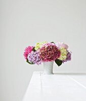 Bunte Hortensien in einer Vase auf weißem Tisch