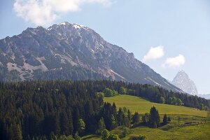 Salzburg, Berge bei Filzmoos, X 