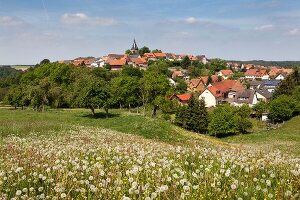 View of flower meadow and cityscape at Bad Arolsen, Hesse, Germany