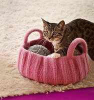 Katze getigert, klettert in Häkel-Korb mit Wollknäueln