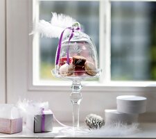 Macaroons under glass dome on mini cake stand