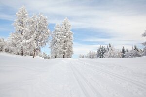 Winterlandschaft, Leutaschtal