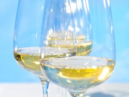 Weißwein in Weingläsern, blauer Hintergrund