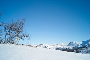 View of snows cape at Hemsedal ski resort in Norway