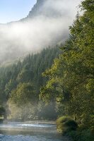 View of Loue river with fog near the village of Lods, Franche-Comte, France