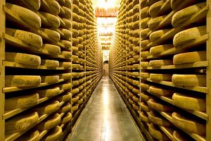 Franche-Comté, Käseherstellung von Comté im Fort de Saint-Antoine