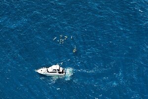 Australien, Western Australia, Exmouth, Ningaloo Reef, Diving