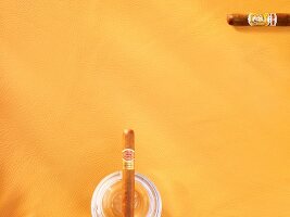 Cigar and ashtray on yellow background