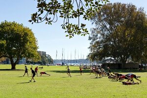 People doing rugby training near Rushcutters Bay in Sydney, New South Wales, Australia