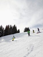 Schweiz, am Vierwaldstättersee, Urner Alpen, Rigi Rotstock, Piste