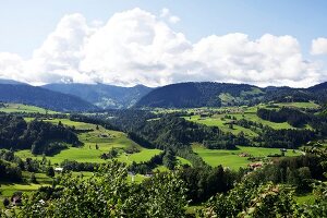 View of mountain and green pastures at Oberallgaeu, Bavaria, Germany