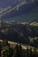 View of mountain and green pastures at Oberallgaeu, Bavaria, Germany