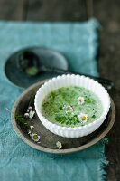Wild herb soup garnished with daisies