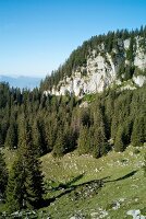 Chiemgau Alps mountain in Bavaria, Germany