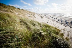 Beach chairs on beach in Sylt, Germany