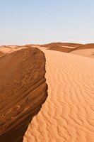 Wüste, Wahiba Sands, Abendsonne Oman, Sand, Landschaft, Übersicht