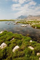 View of freshwater lake, stones, grass and mountains at Mughsayl Bay Beach, Oman