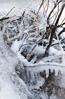 Lappland, Bach, fließend, Eis, gefro ren