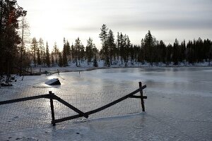 View of frozen landscape of Lapland at sunset, Finland