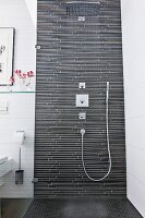 Badezimmer, Detail, Dusche Duschkabine, Regendusche