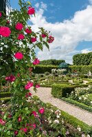 Hannover, Schloss Herrenhausen, Herrenhäuser Gärten, Rosen, Pavillon