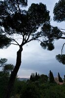 View of Elijakirche, Mount Tabor and Jesus Trail in Jezreel Valley, Israel