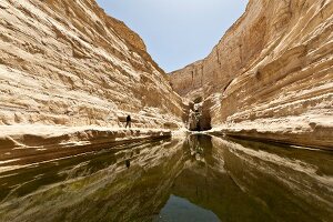 Israel, Wüste Negev, Awdat-Quelle, En-Awdat-Nationalpark