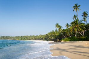 View of beach and palm trees in Tangalle, Hambantota District, Sri Lanka