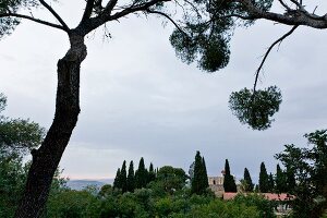 View of Elijakirche, Mount Tabor and Jesus Trail in Jezreel Valley, Israel