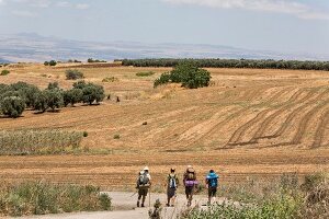 Pilgrims walking on road to Jesus Trail near Mount Arbel, Capernaum, Galilee, Israel