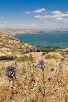 View of Jesus Trail and sea at Capernaum, Galilee, Israel