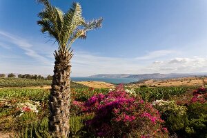 Israel, See Genezareth, Jesus Trail, Blick vom Berg der Seligpreisungen