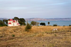 View of Church Seven Apostles with sea in background in Capernaum, Galilee, Israel